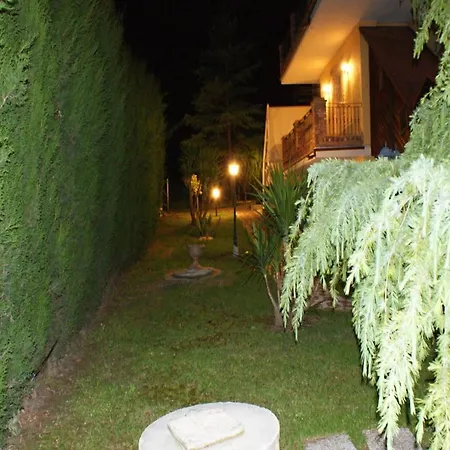 Algi