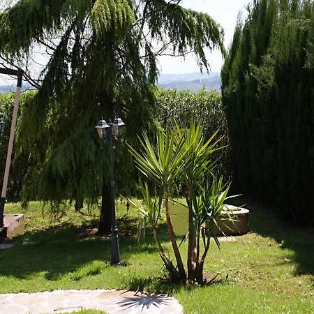 Algi Bed and breakfast