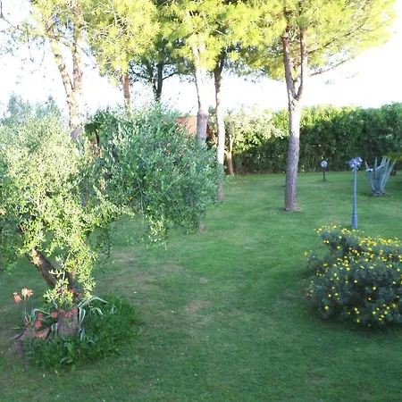 Bed and breakfast Algi *