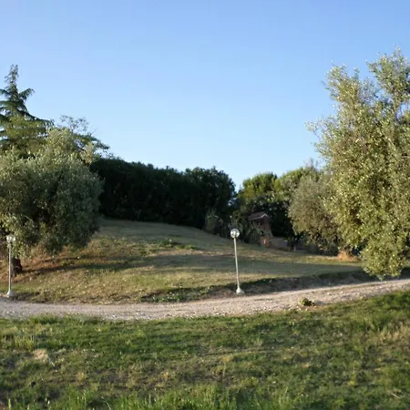 Bed & Breakfast Algi 4*