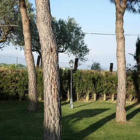 Bed and breakfast Algi