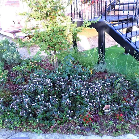 Nocleg ze śniadaniem Algi 4*