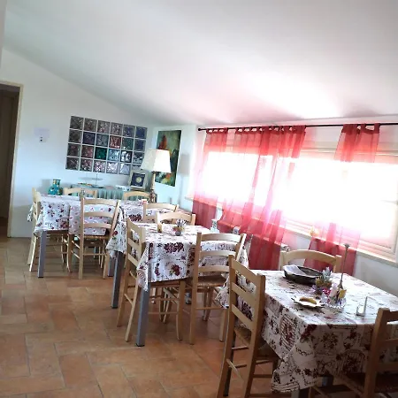 Bed and breakfast Algi