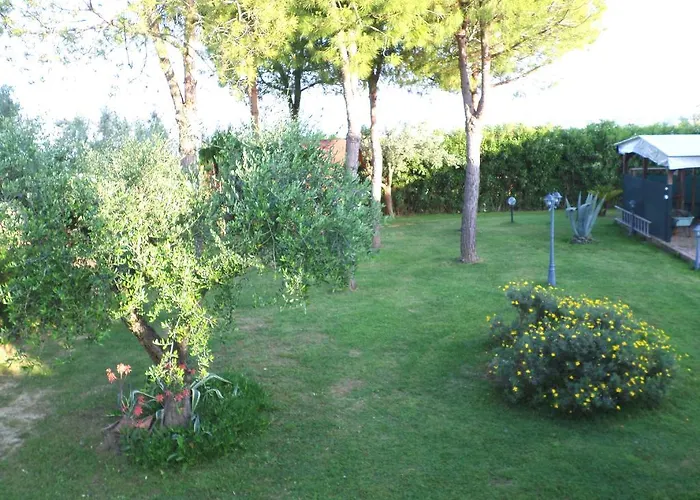 Oda ve Kahvaltı Algi 4*