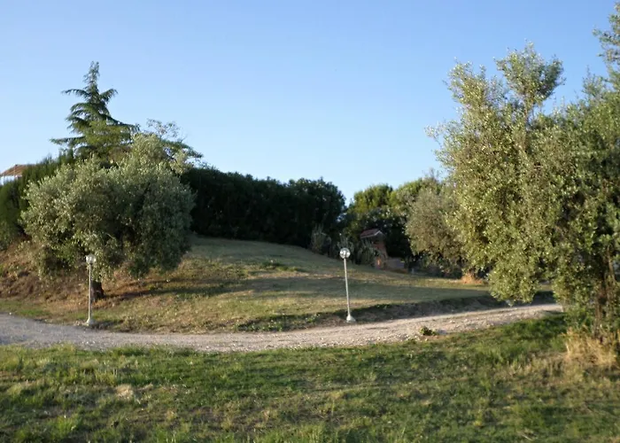 Oda ve Kahvaltı Algi 4*