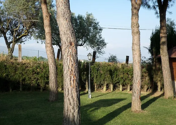 Oda ve Kahvaltı Algi